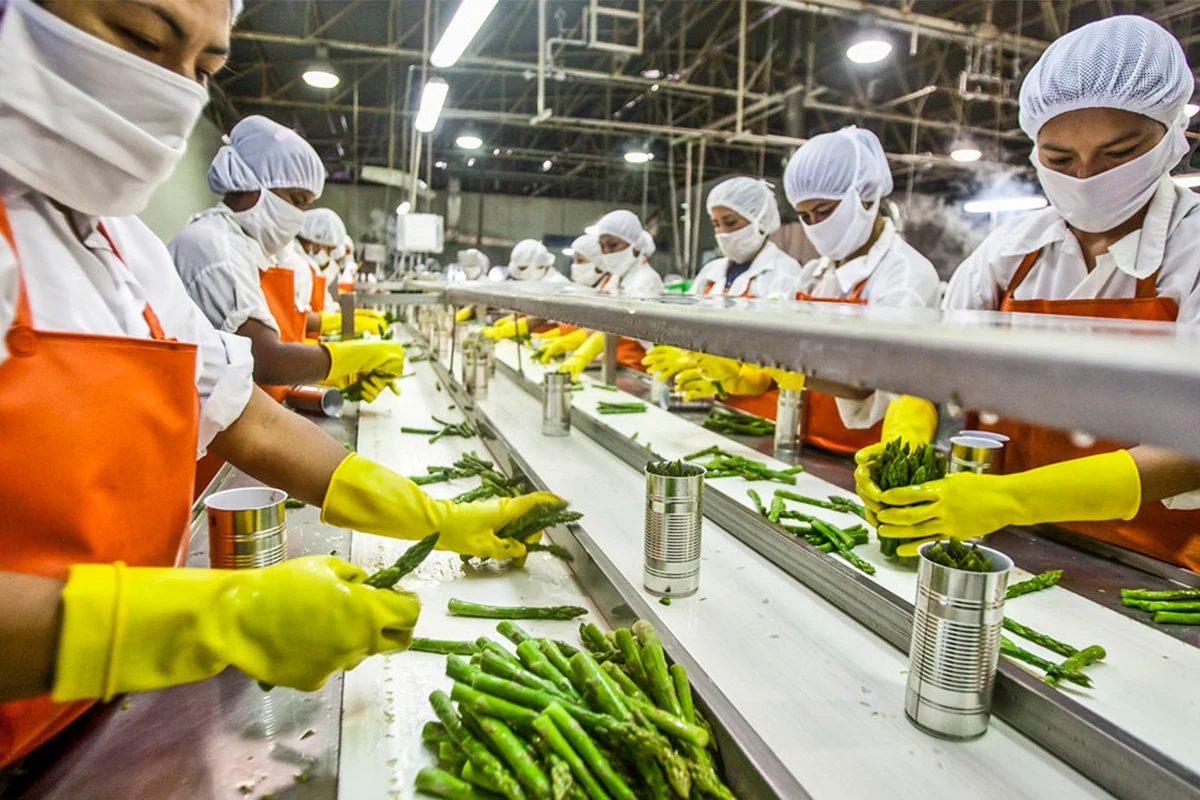 Food Industry Plant Setup visual summary