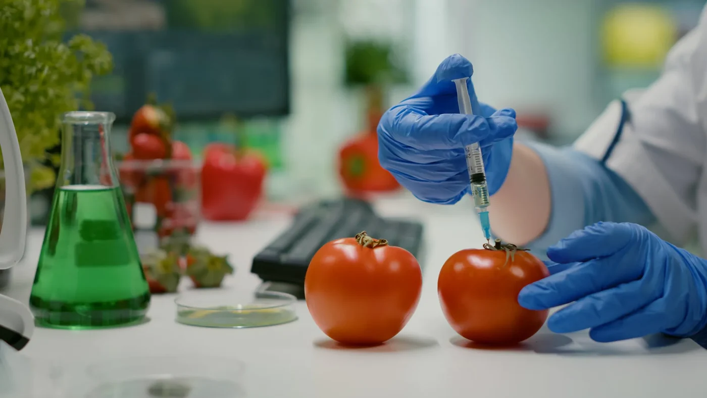 Food Testing Laboratory Setup & NABL Accreditation visual summary